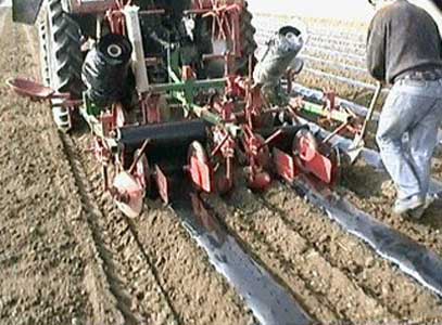 une large gamme de films agricole une large gamme de films agricole